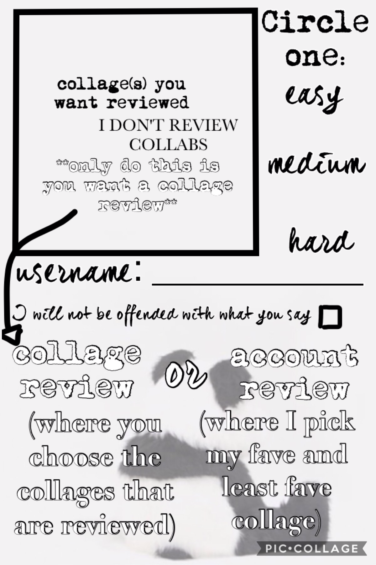 Sorry this is kind of messy 😬 Basically, a collage review is where you put in one or two of the collages you want me to review and I'll review those. An account review is where I pick my favorite and least favorite collages of yours and review those. I'll