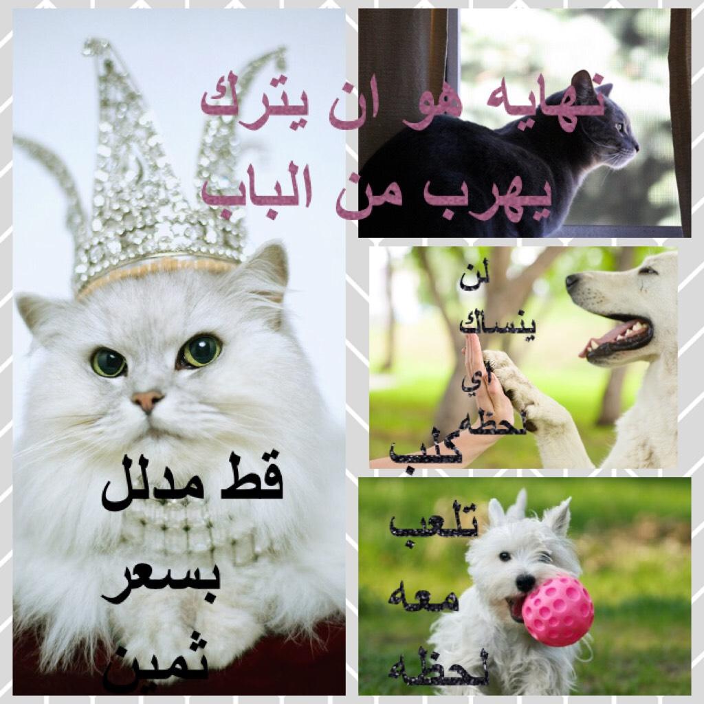 Collage by amani_42