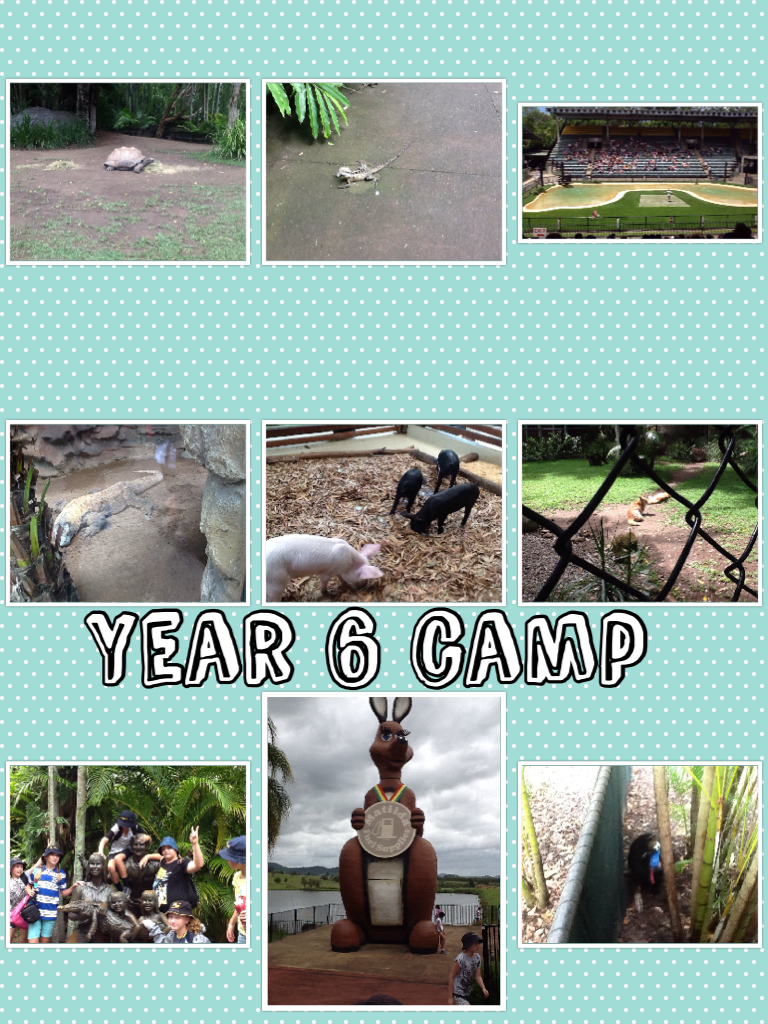 Year 6 camp