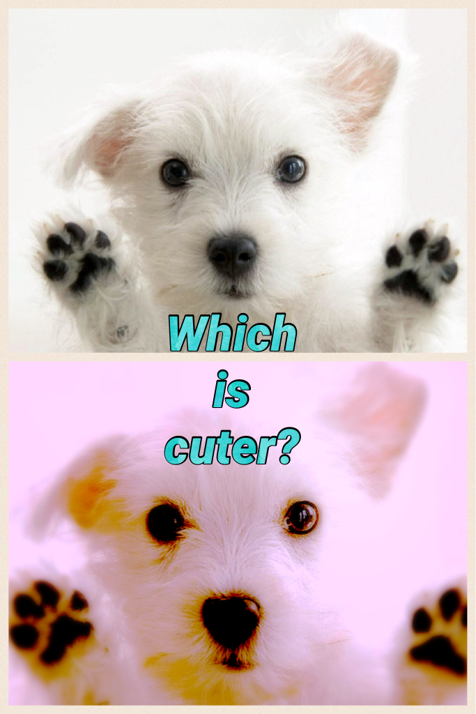 Which is cuter?