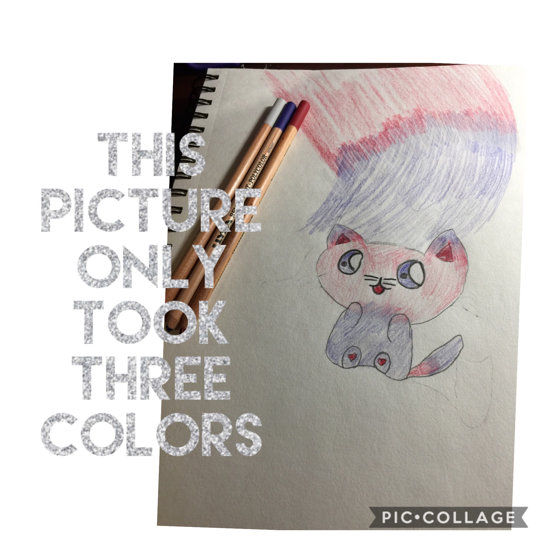 Three colored cat