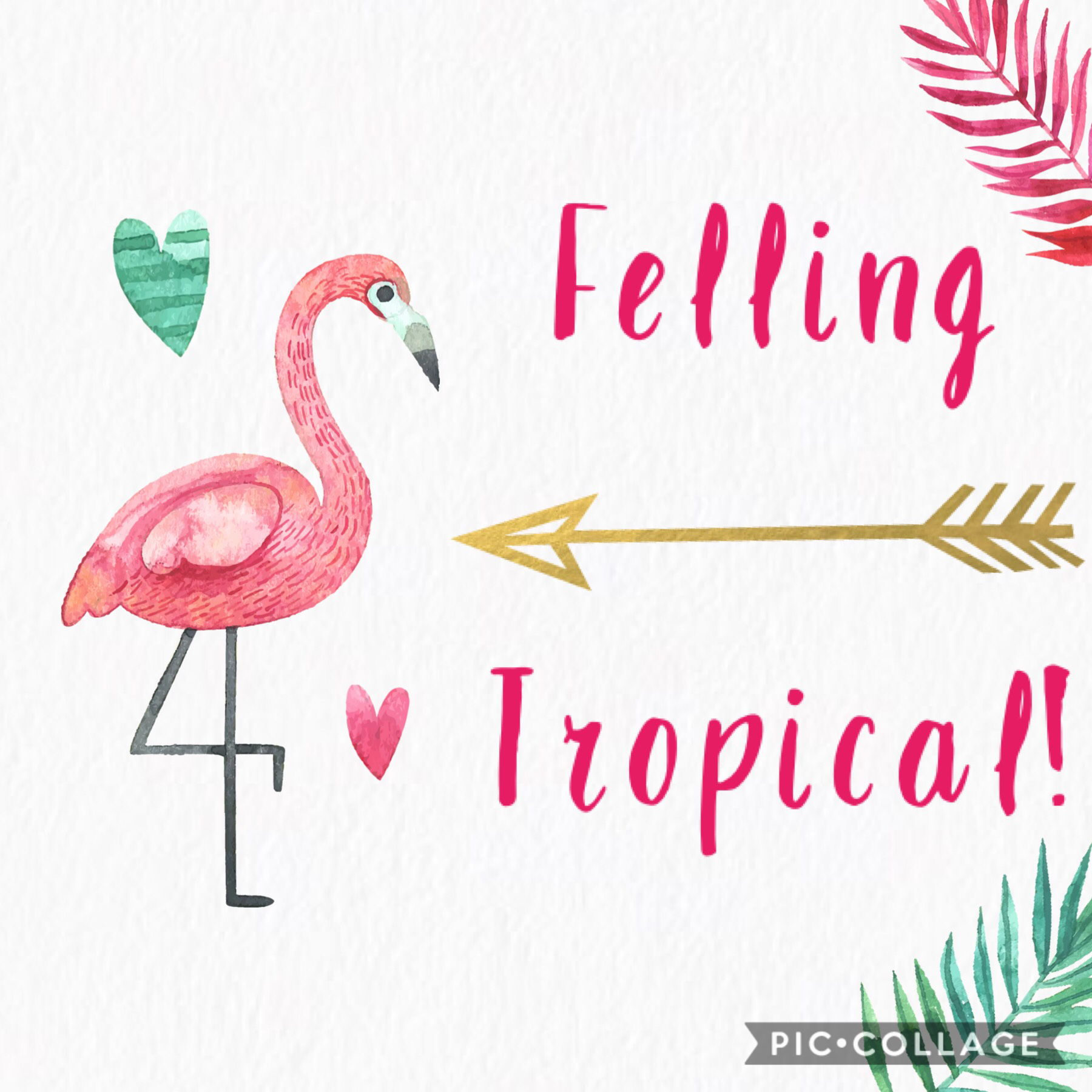 Felling tropical!