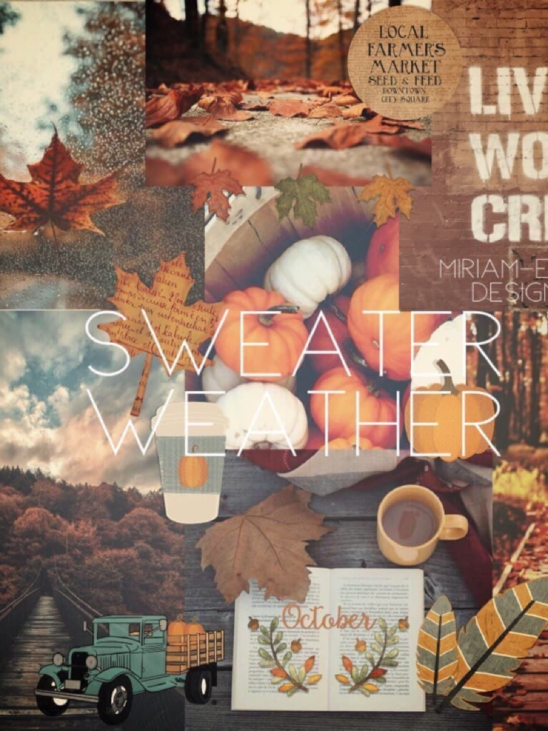 Sweater weather 