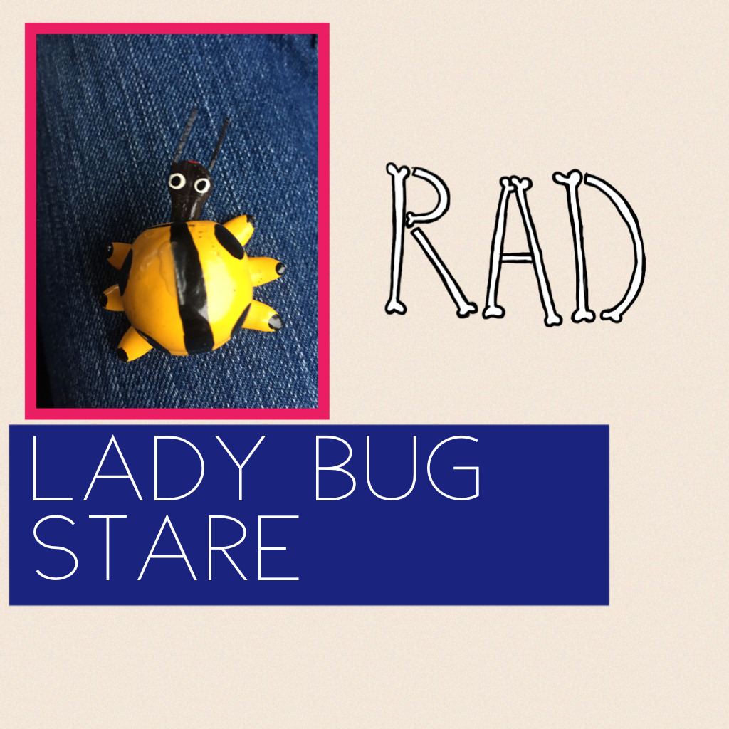 Lady bug stare