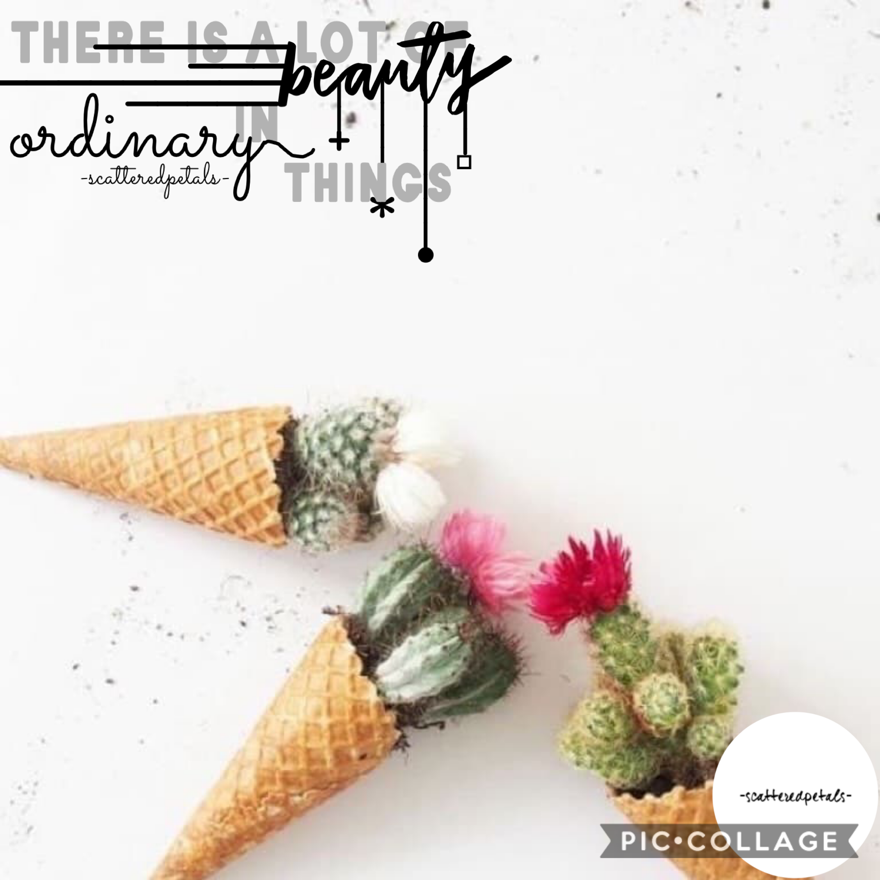 Tap
What do you think?
Quote” There is a lot of beauty in ordinary things”
7/22/20

Enjoy