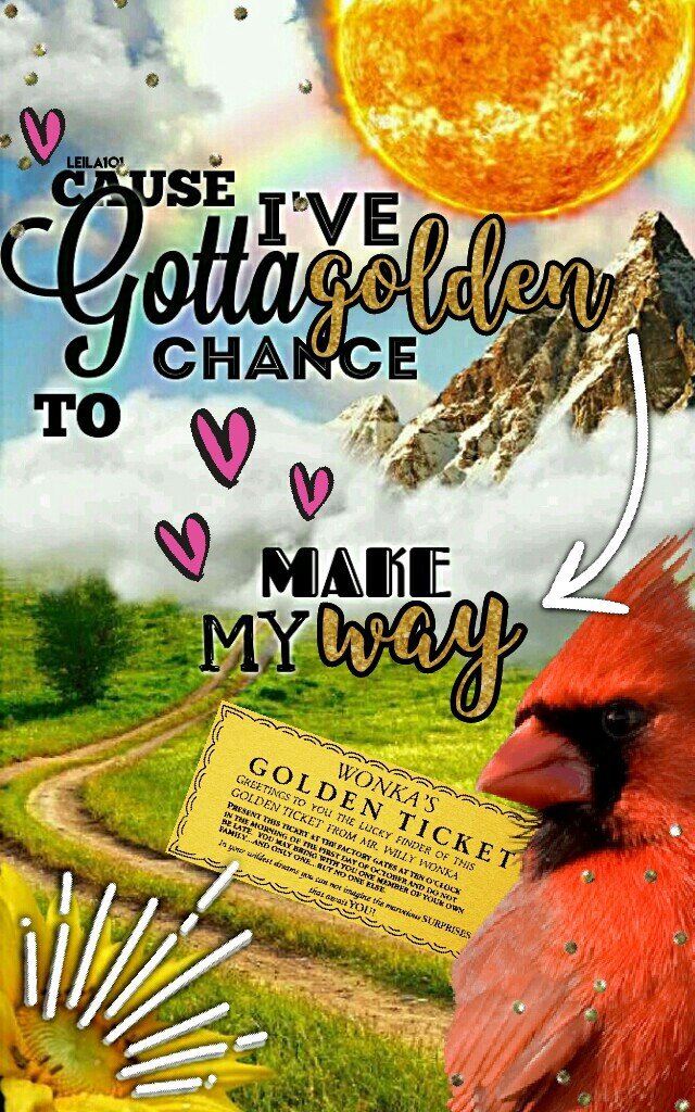 I LOVE THIS! How I feel about college... Lol Rate 1-10?? 😹 😹 😹 

Tags: almost Pconly collage piccollage stickers spring hello spring love lol birds sun Willy Wonka Golden Ticket Leila101 Cardinal hello spring stickers 