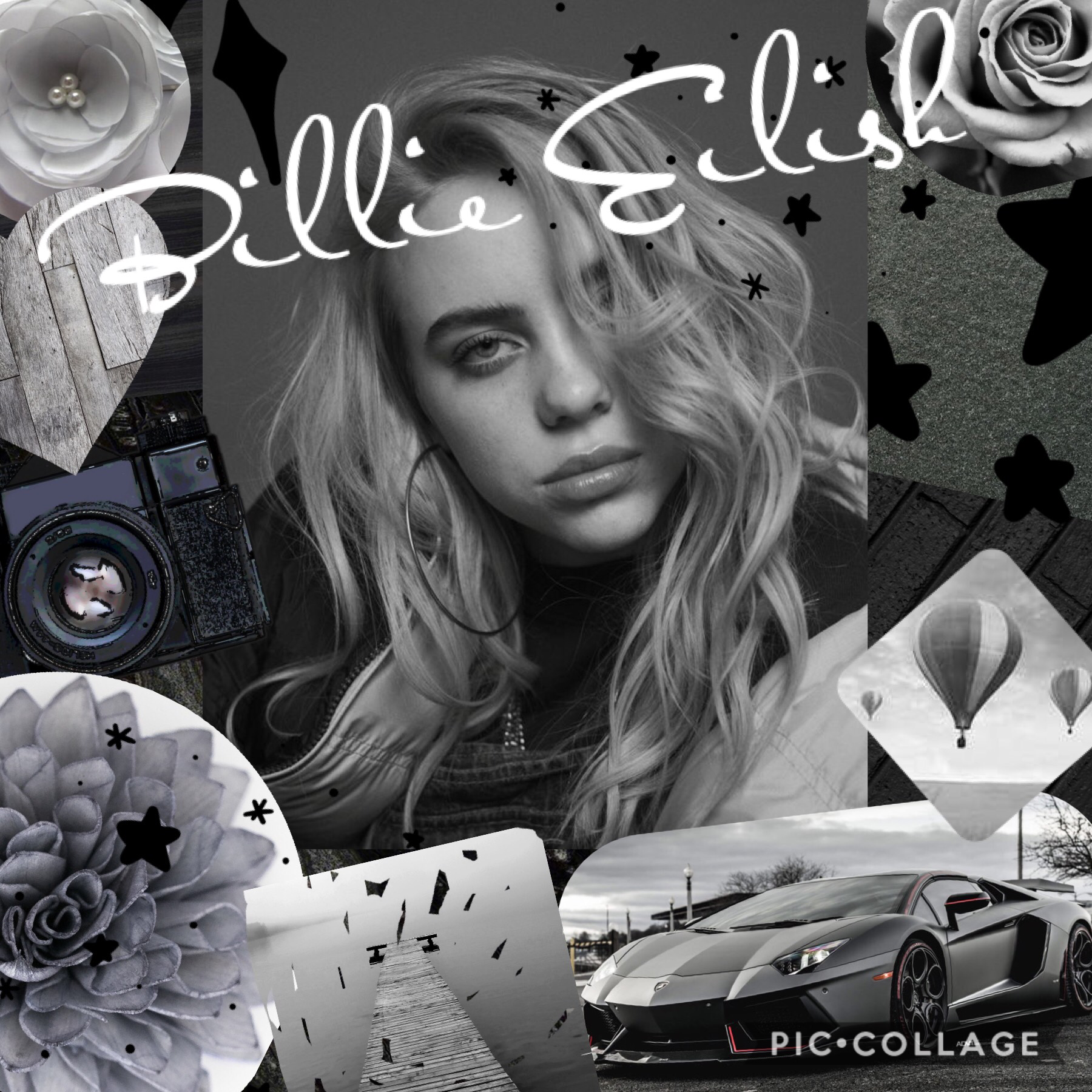 🖤 Who doesn’t love Billie Eilish!?!? 🖤