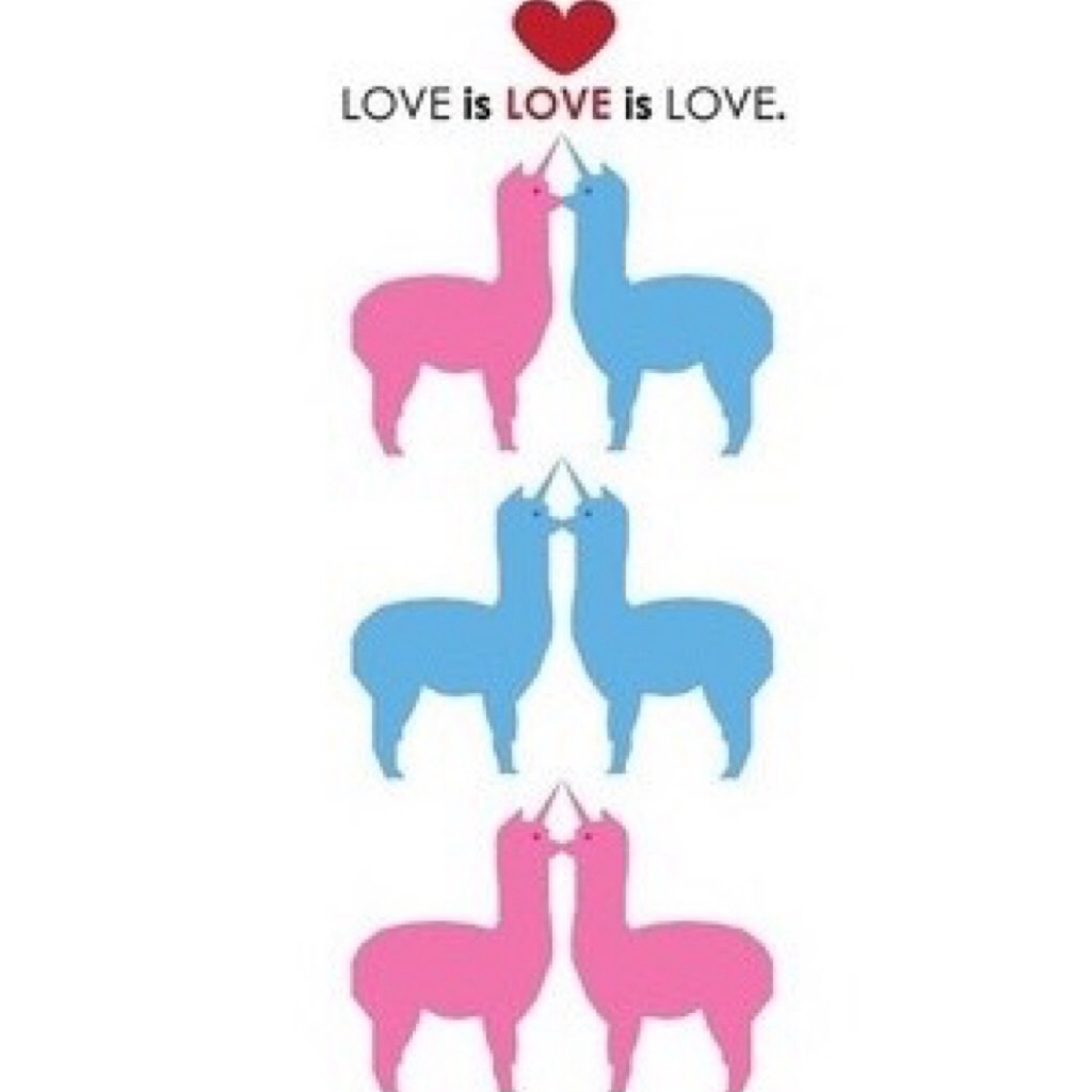 We are all llama unicorns