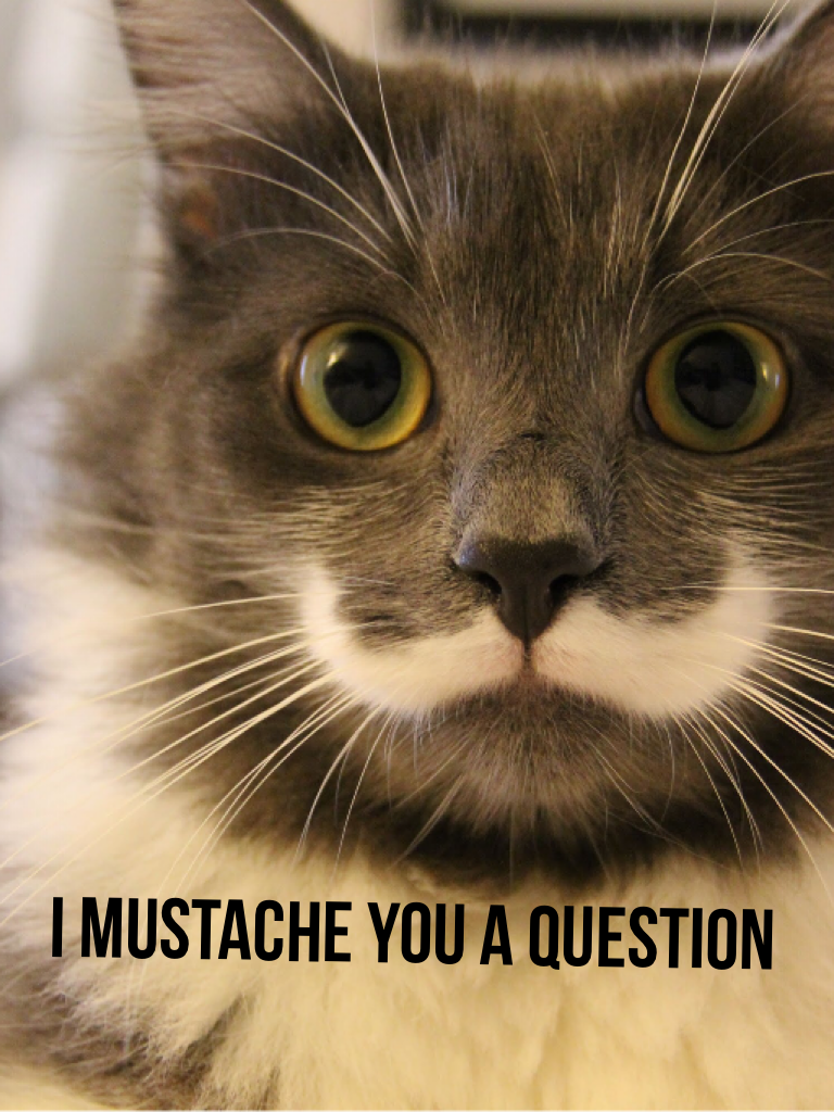 I mustache you a question