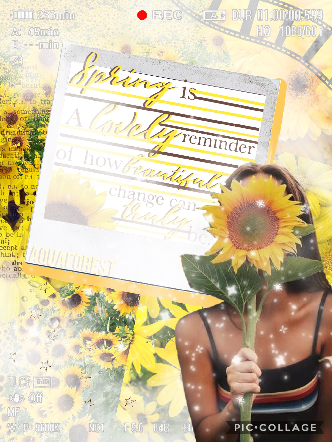 🌻tap🌻 
I kinda like this text style!
This was supposed to be a spring themed collage since I already did winter and fall, but sunflower images are earlier to find online so....
Png credit: -SoulfulVibes- (yEs I keep using the same pngs sorry)
