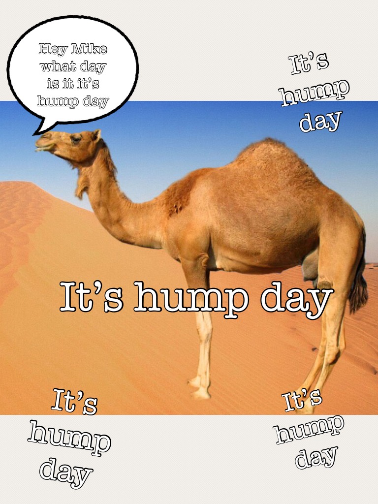 It’s hump day