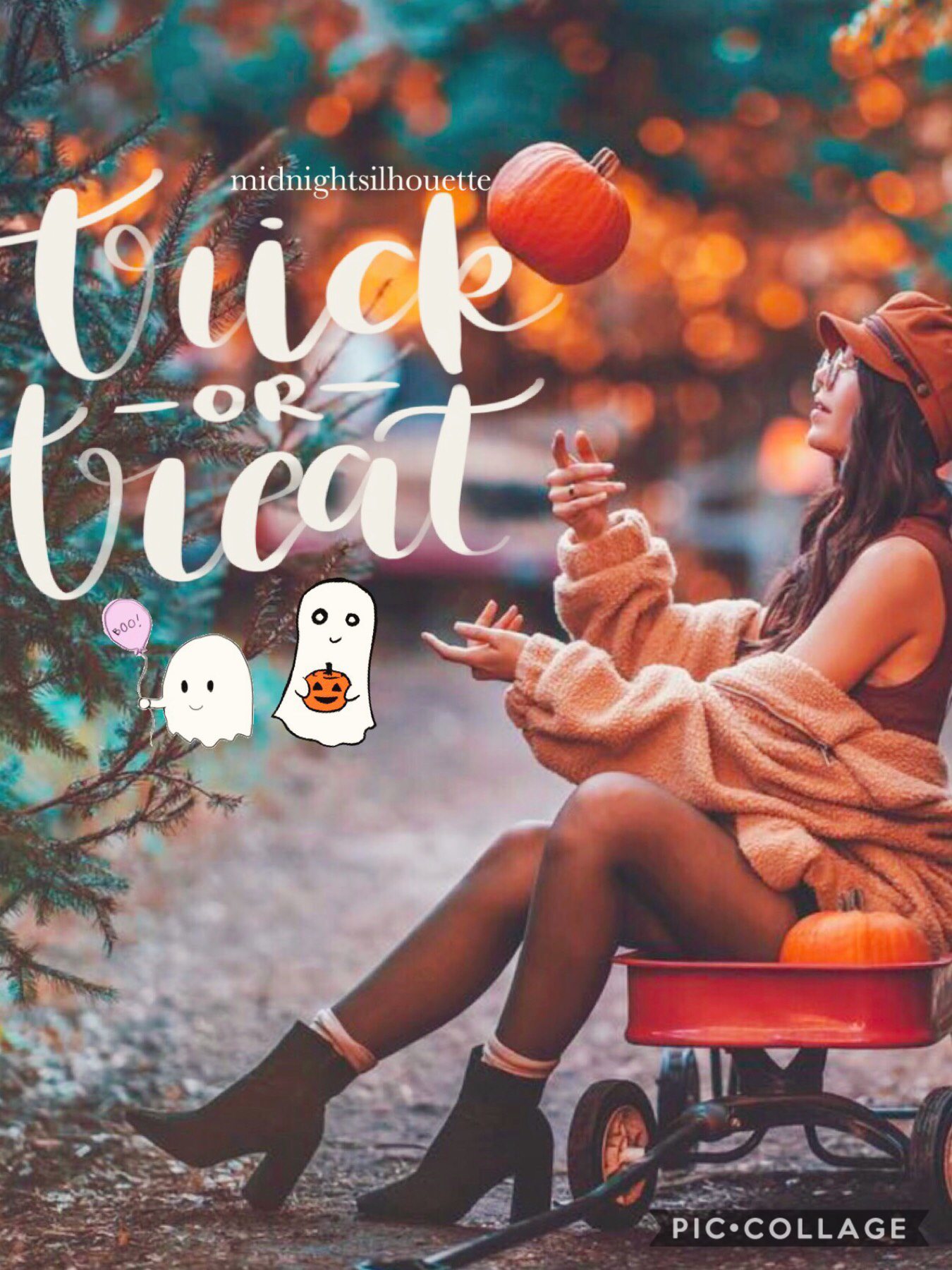 trick or treat |  6/8