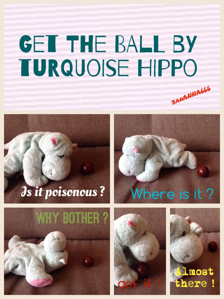 Turquoise hippo publications presents...