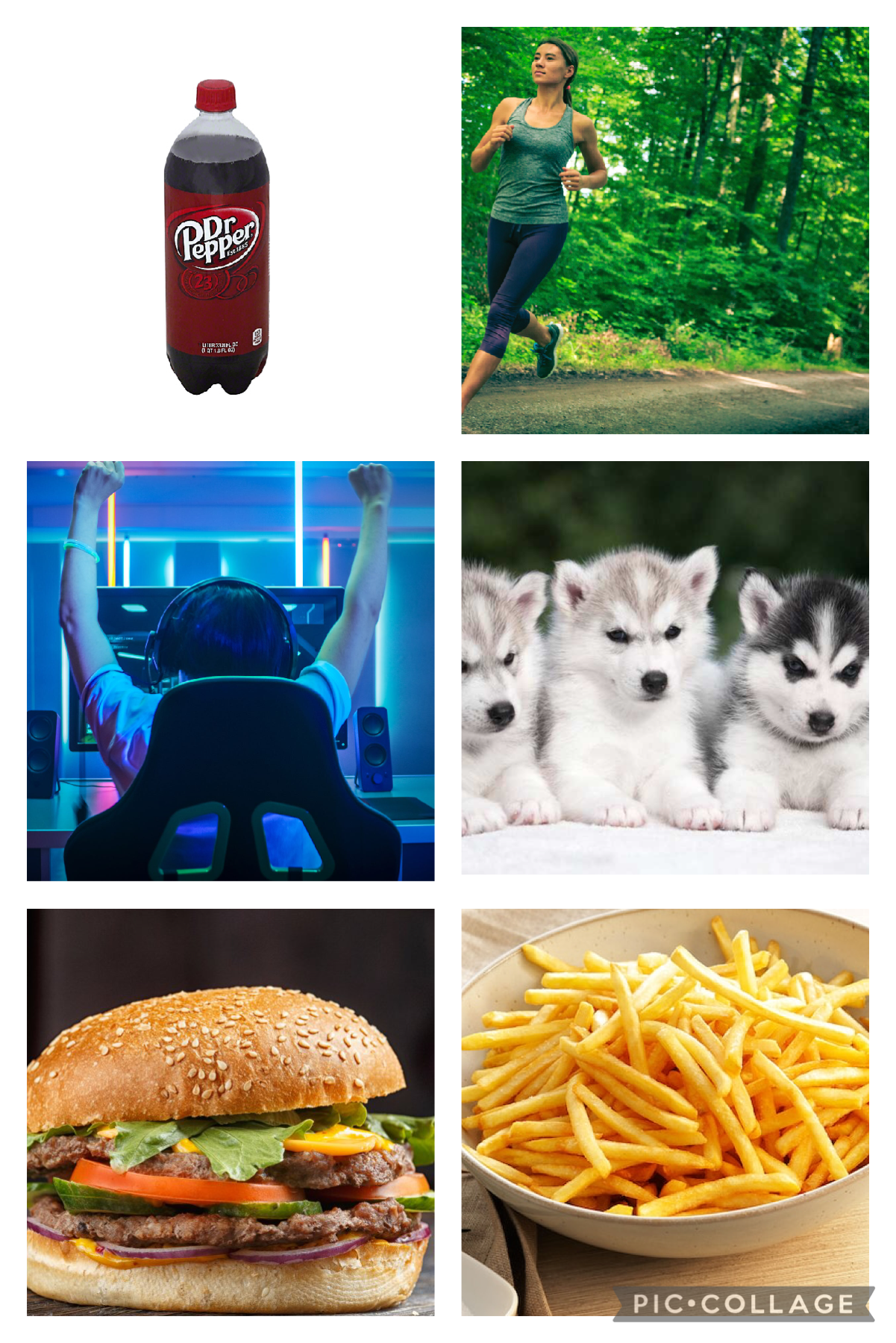 A few of my favorite things I love. Hi I’m maddy as you can see I like burgers, French fries, Dr Pepper, puppies, running, and gaming I also like to do a lot of other things 