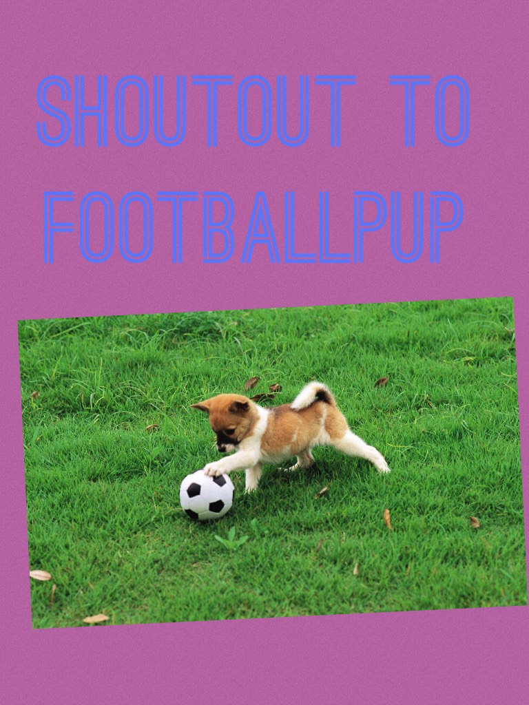Shoutout to footballpup