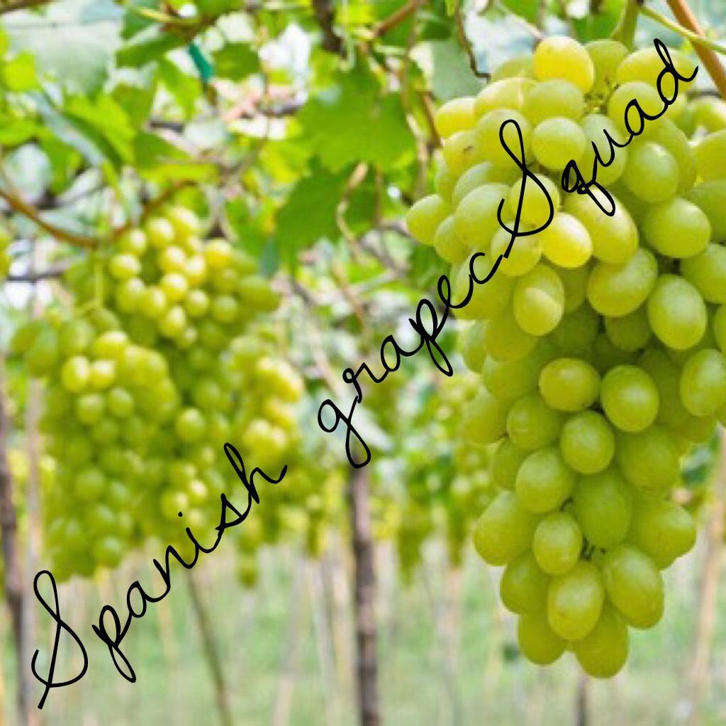 Spanish grapeSquad