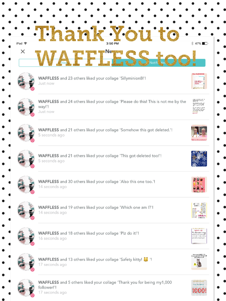 Thank You to WAFFLESS too!