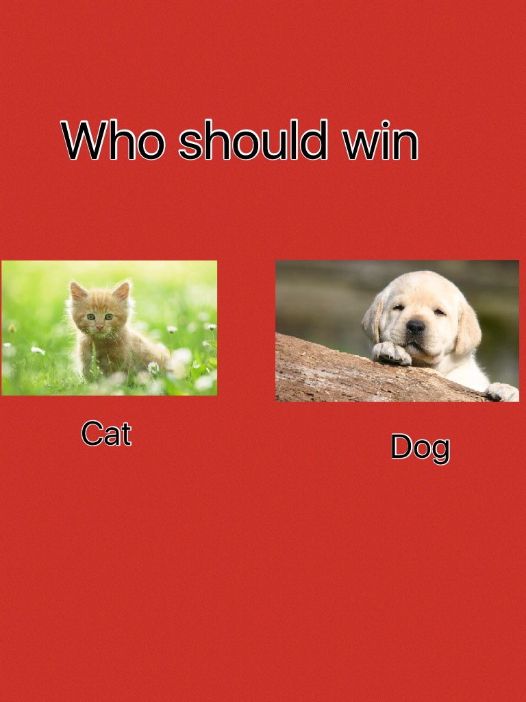 Who should win