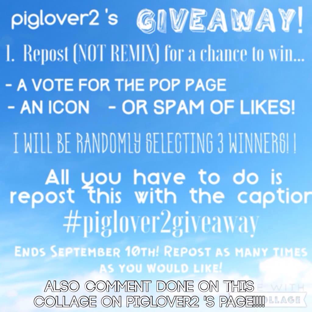 #piglover2giveaway