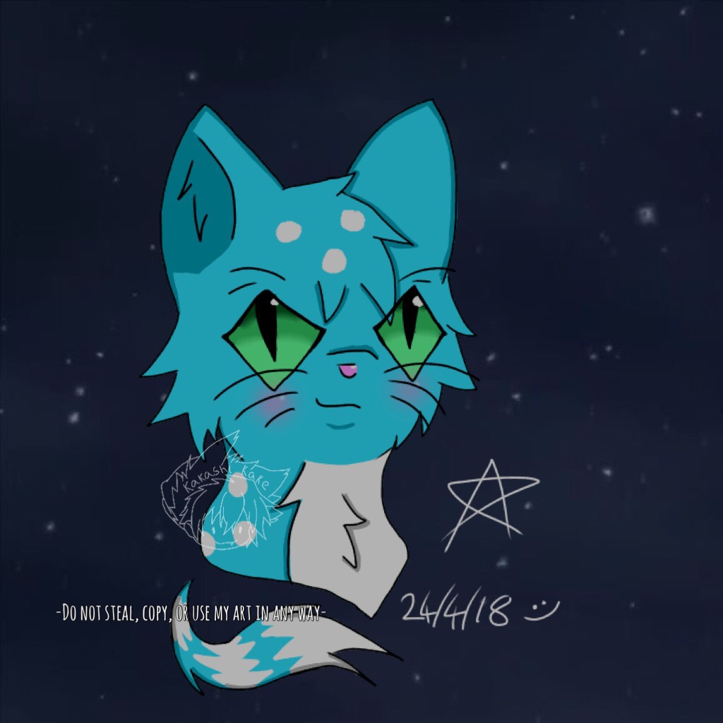 💙Tap💙
-Do not use my art in any way-
I tried to draw a cat :/ Who’s bared with me long enough to remember Silverstar? I decided to draw her bc I want to draw animals.
Oh yay I have Music today- *screaming inside*