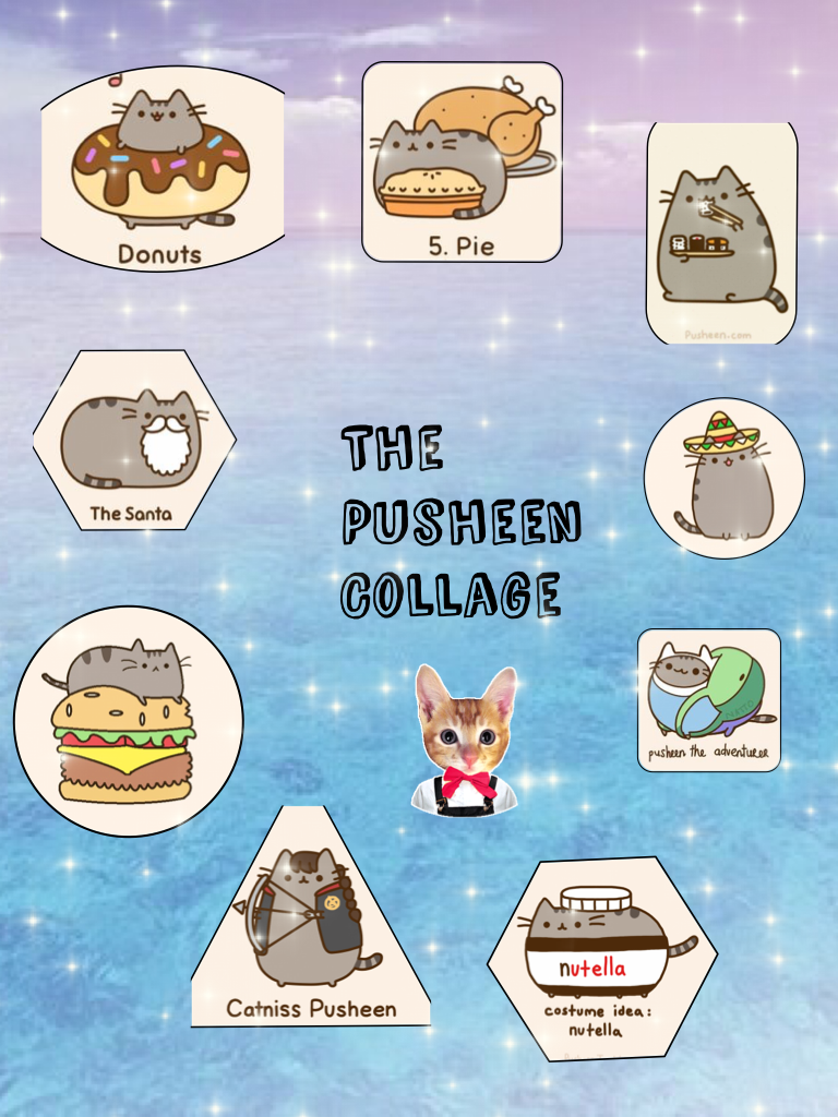 The 
Pusheen
Collage