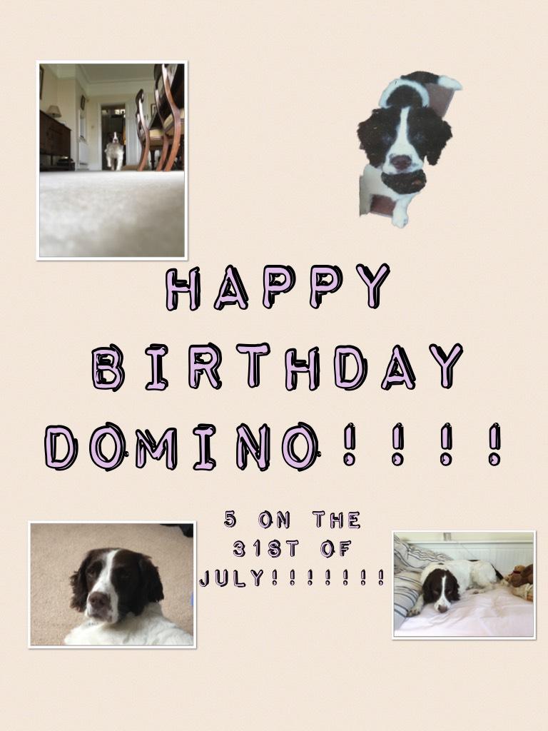 Happy birthday domino!!!! Love you bubba!!!!! Xxx