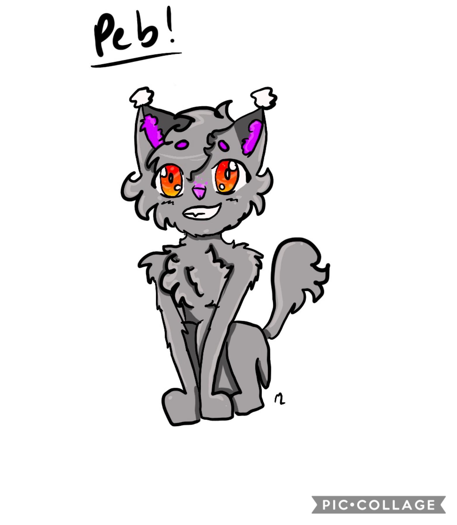 This is a drawing of Pebblepaw’s purrsona on Blogclan(art request)