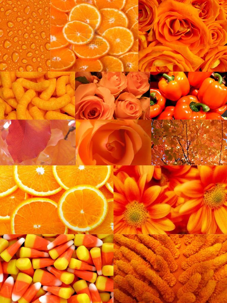 Orange collage!!!!!!!!!!! Rainbow Colors