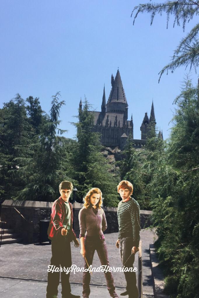 You guys! I went to Harry Potter land for the first time and LOVED it!!!!!❤️💛