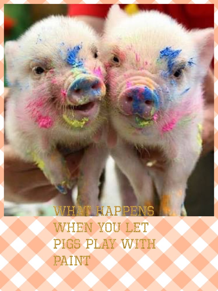 What happens when you let pigs play with paint