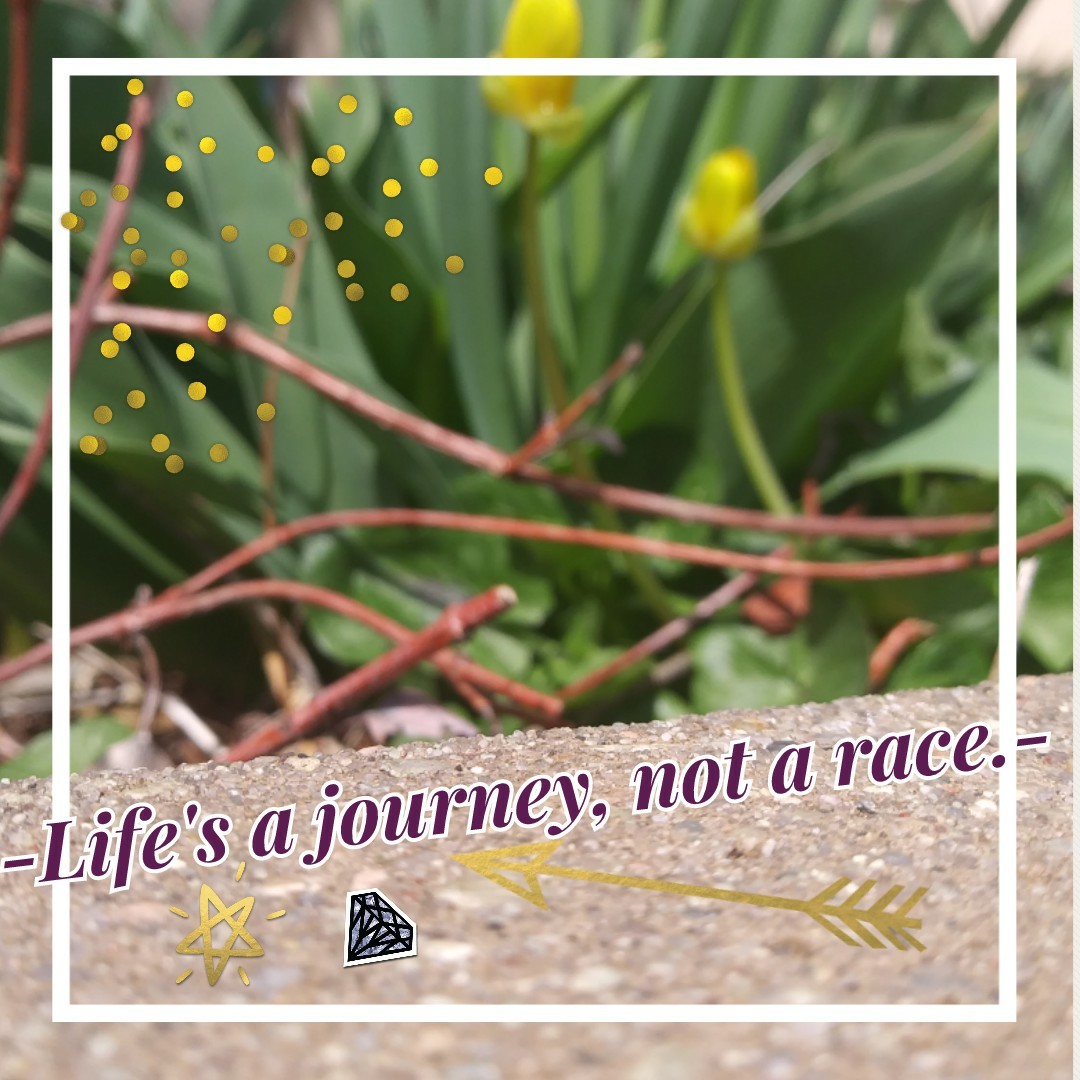 -Life's a journey, not a race.-