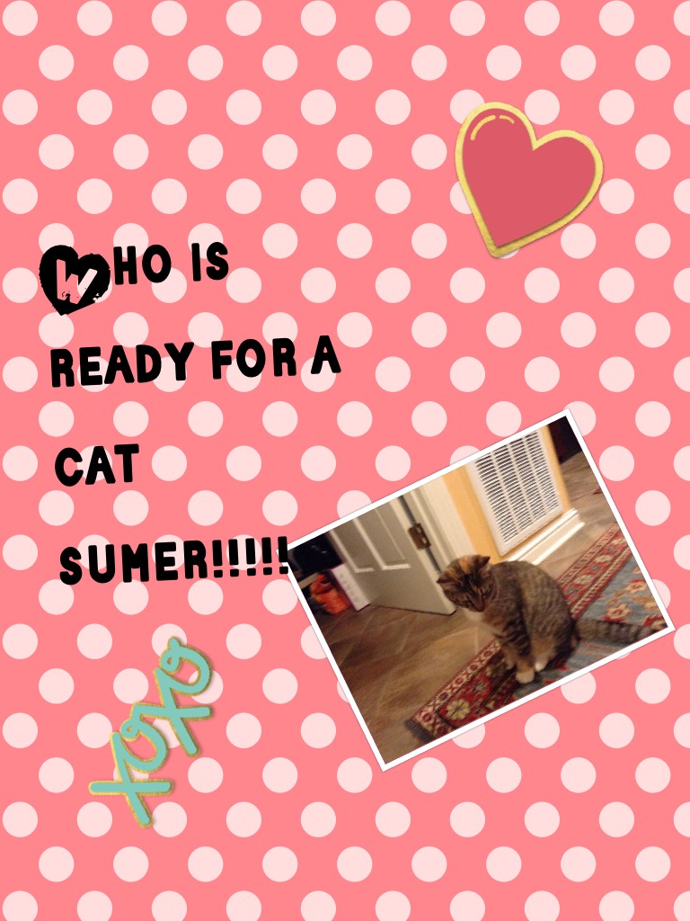 Who is ready for a  cat sumer!!!!!