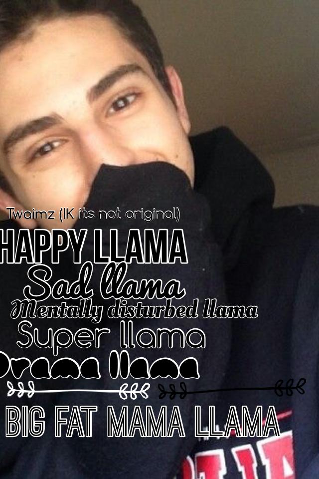 Llama song