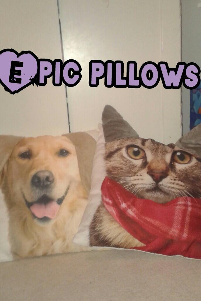 Epic pillows