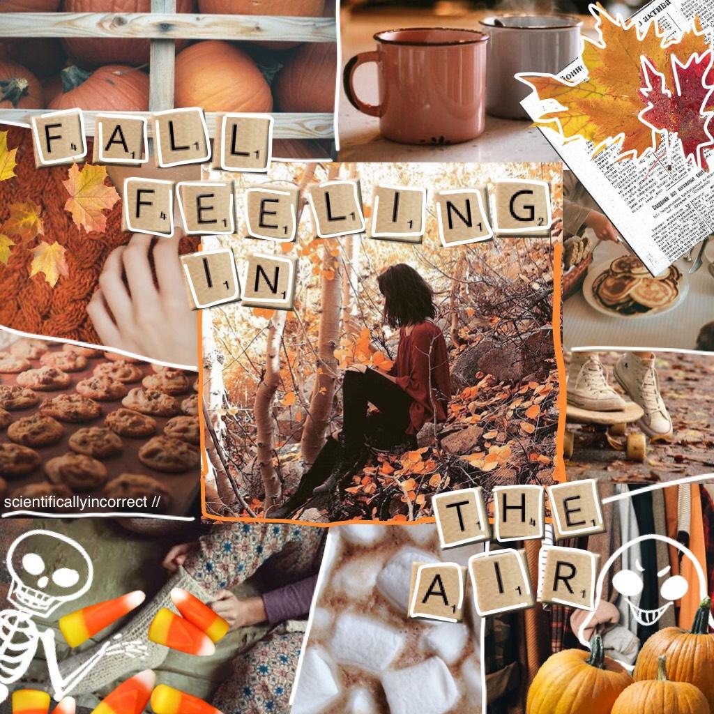 happy (late) fall !! 🍂look who's ruining their theme!! 🤷‍♀️
09/14/17