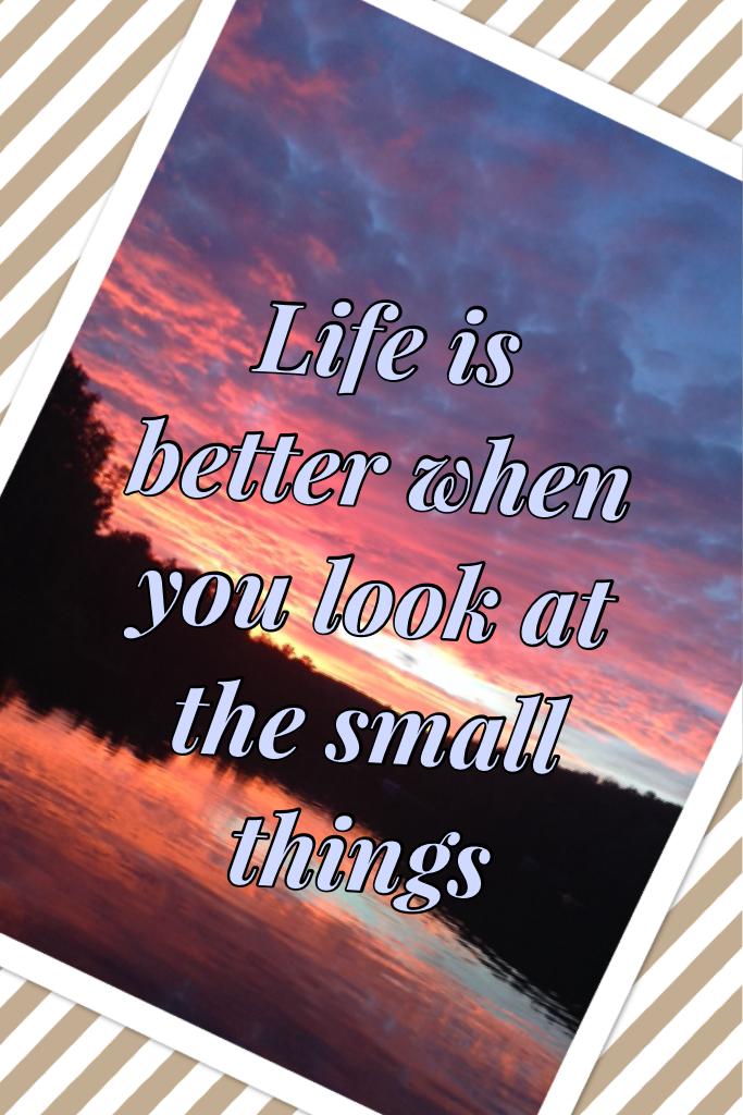 Life is better when you look at the small things 