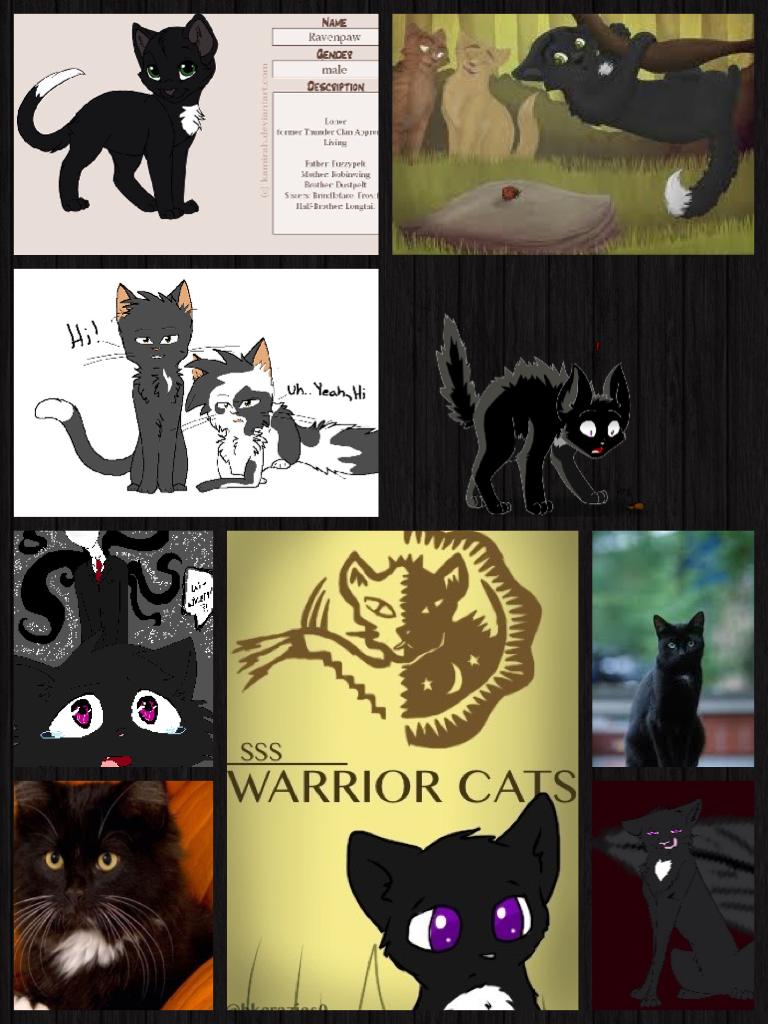 One of my favourite warrior cats is ravenPaw! Art by: Unknown