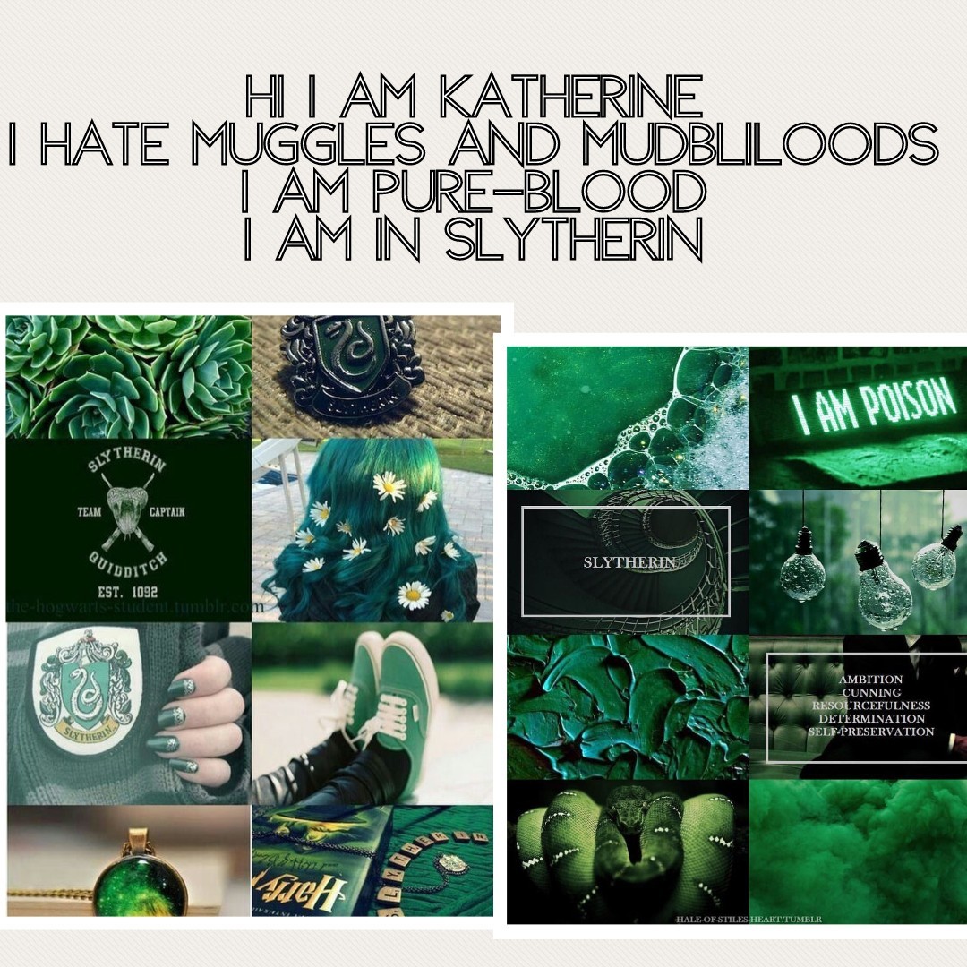 Hi I am Katherine
I HATE MUGGLES AND MUDBLILOODS
I am pure-blood
I am in slytherin
