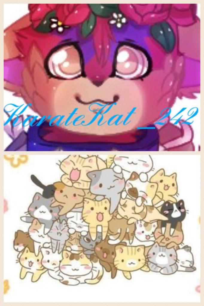                            CLICK
Which picture should I make my icon? Which ever one gets the most votes will be picked. Write "Pile of cats"for the bottom one and "pink cat"for the top one. The decision will be made on Monday 
