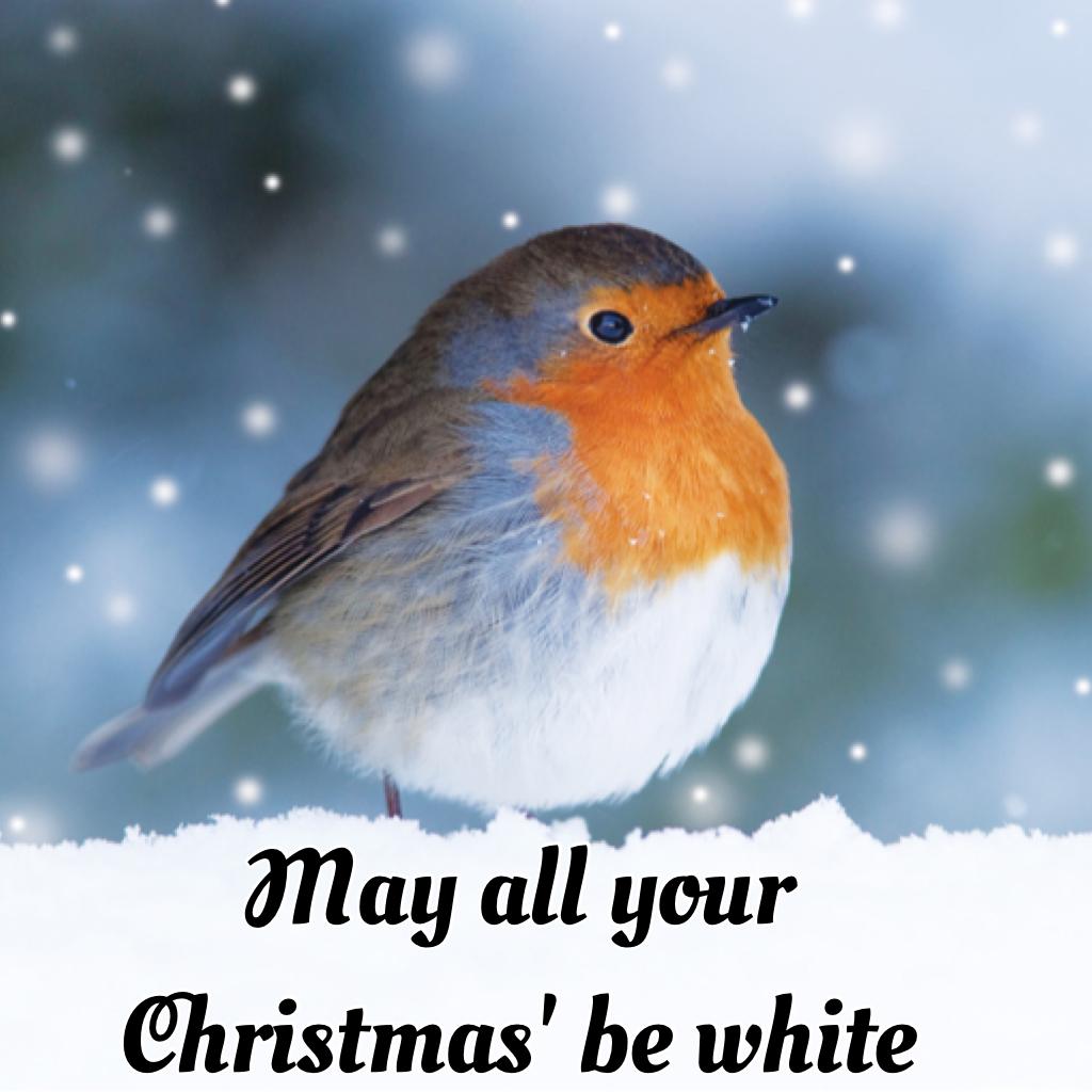 May all your Christmas' be white