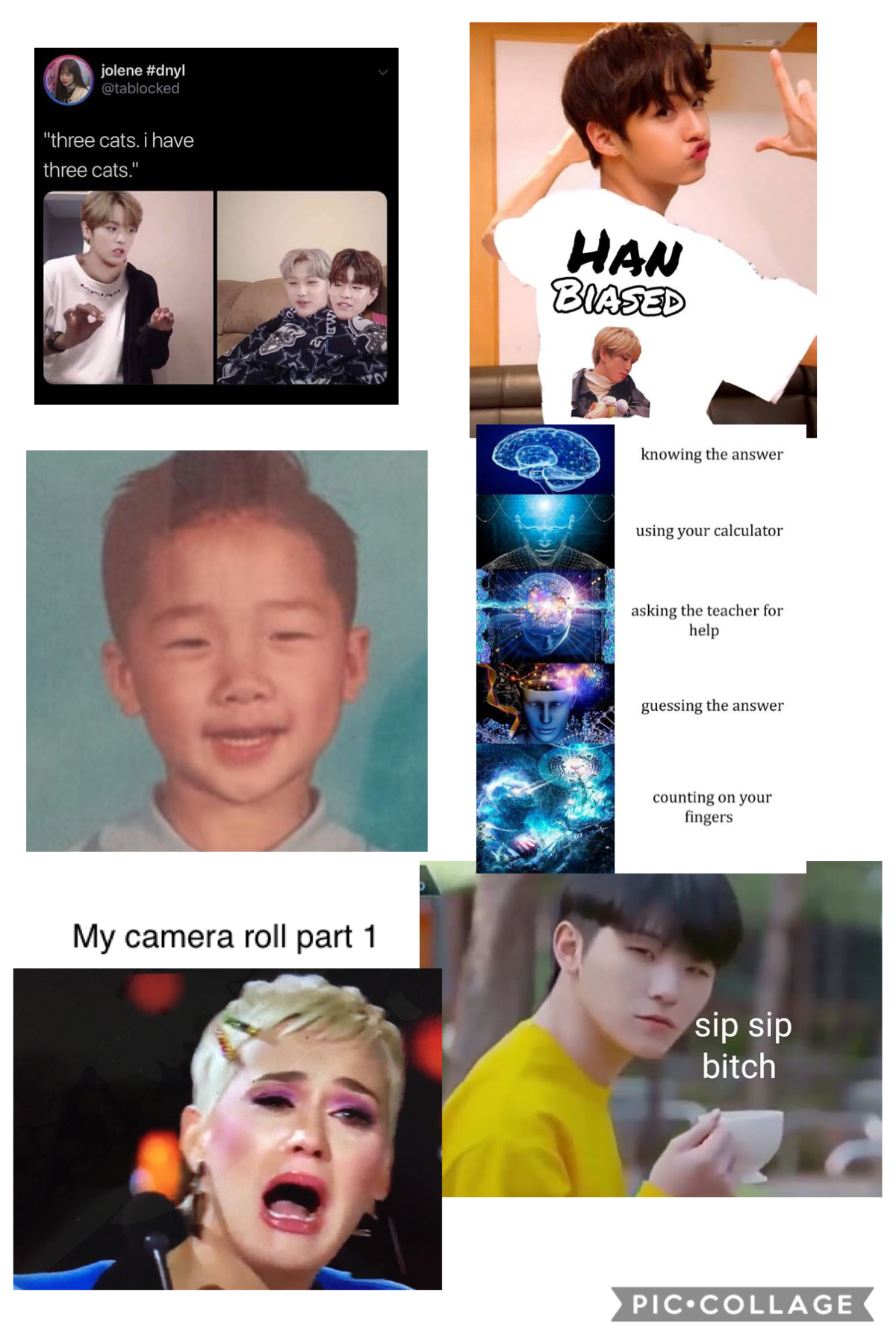 This is only a little bit of the chaotic mess you call my camera roll