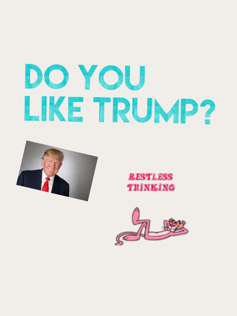 Do You like trump?