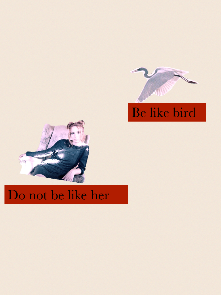Be like bird