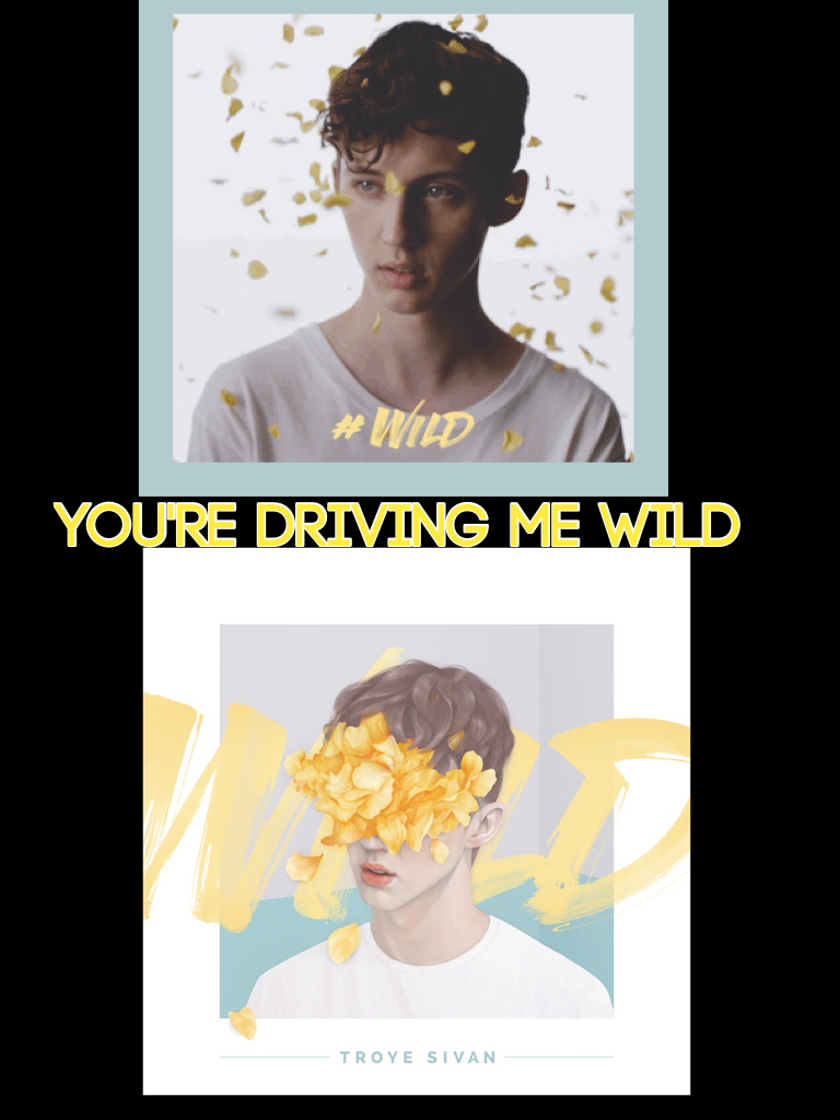 Like for more Troye Sivan posts