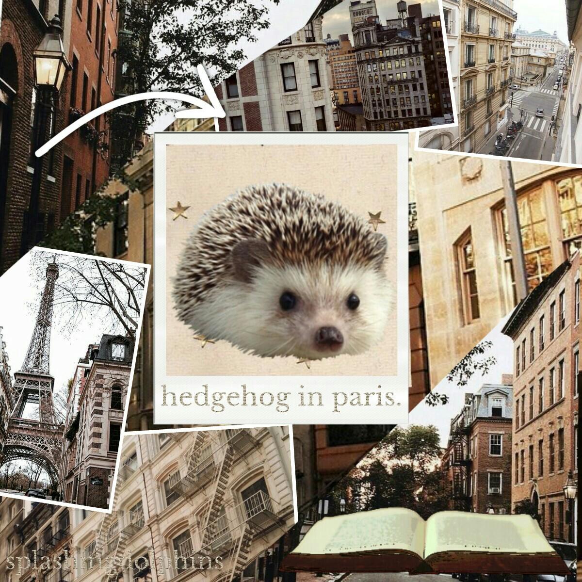 ☕ tap for more ☕

ok so i was going to do a cup of coffee but i decided on a hedgehog because idk i guess i was thinking about hedgehug while making this. welp comment what you think a hedgehog would do in paris lol
