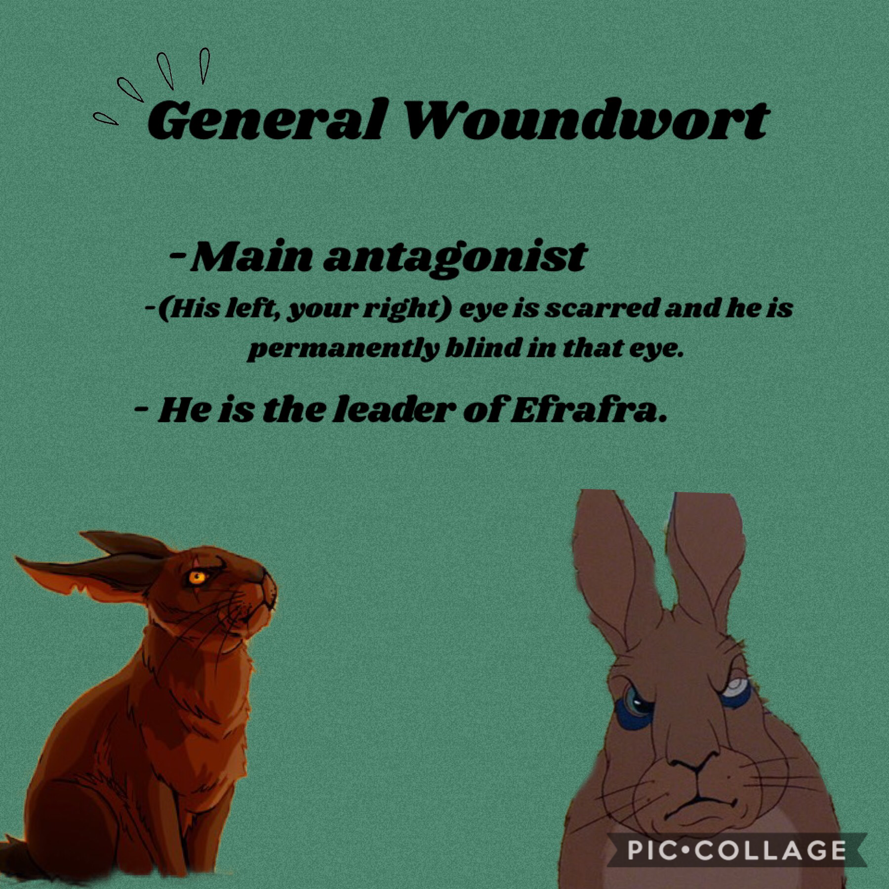 General Woundwort