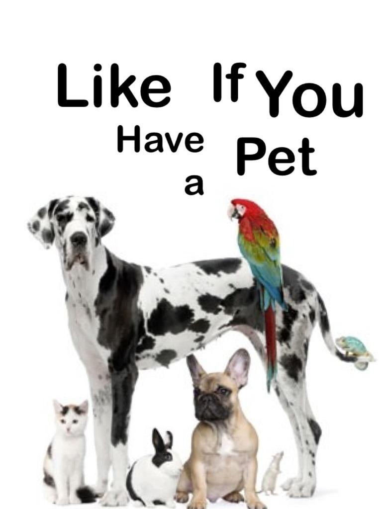 Like if you have a pet