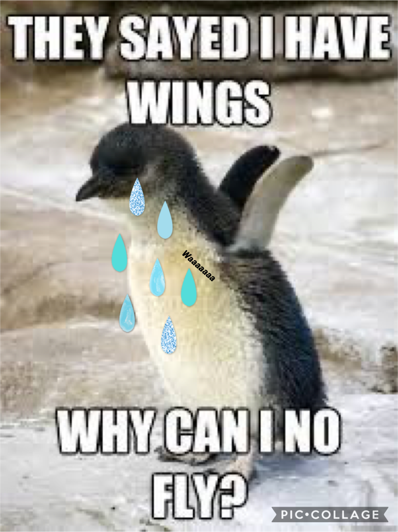Awww poor penguin