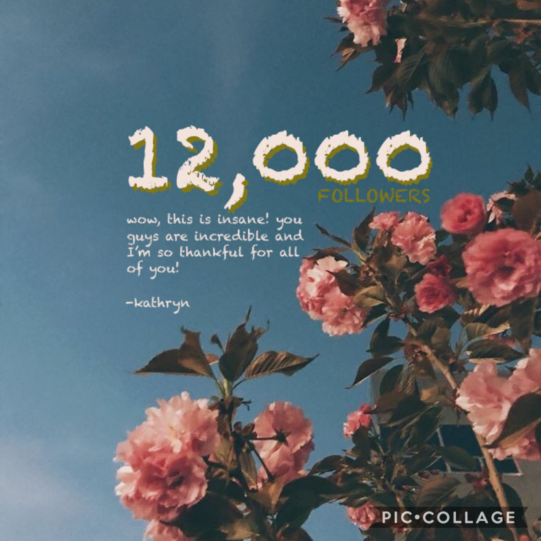 you know what’s crazy? my old account had 13,000 followers when it got deleted. I’m almost back to where I was, something I never thought would happen. 🌿 thank you all so much. ✨♥️