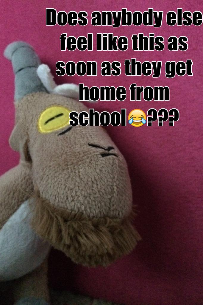 Does anybody else feel like this as soon as they get home from school😂???
